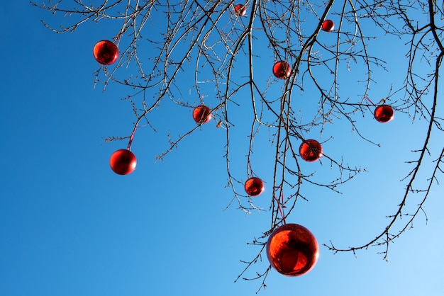 Bolas de natal vermelhas em uma árvore ao ar livre