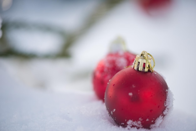 bolas rojas de navidad con largas sombras en la nieve fresca en un hermoso día soleado de invierno