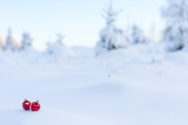 bolas rojas de navidad con largas sombras en la nieve fresca en un hermoso día soleado de invierno