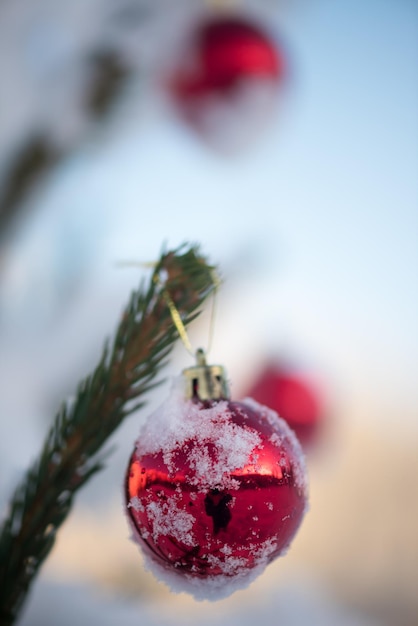 bolas rojas de navidad en un pino cubierto de nieve fresca en un hermoso atardecer de invierno