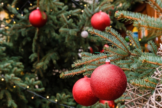 Bolas vermelhas de ano novo e guirlanda em galhos de uma árvore de Natal natural ao ar livre em dia ensolarado