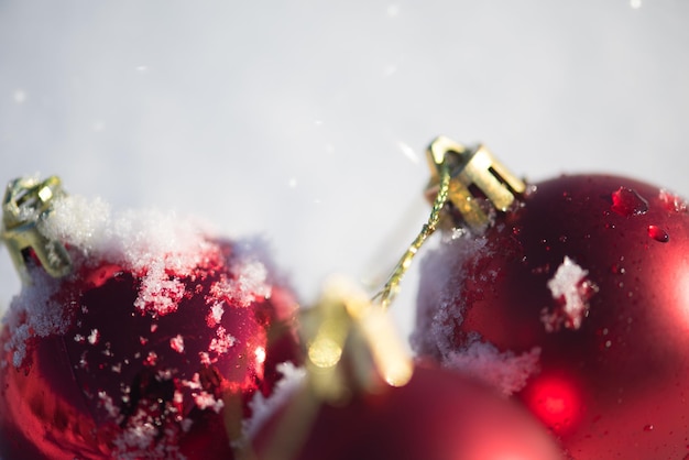 bolas vermelhas de natal com longas sombras na neve fresca no lindo dia ensolarado de inverno