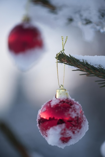 bolas vermelhas de natal no pinheiro coberto de neve fresca