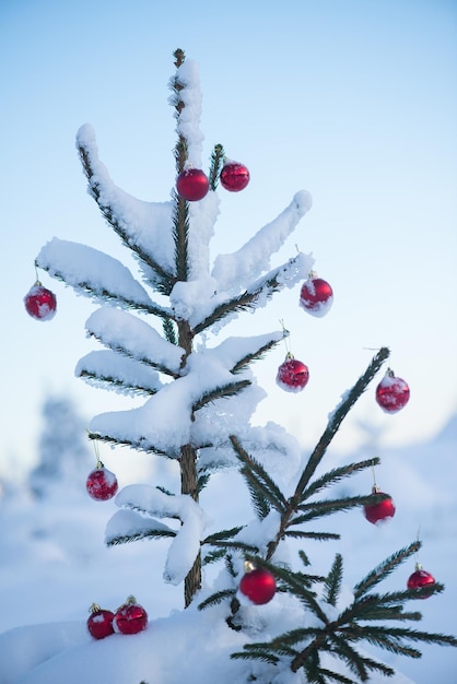 bolas vermelhas de natal no pinheiro coberto de neve fresca