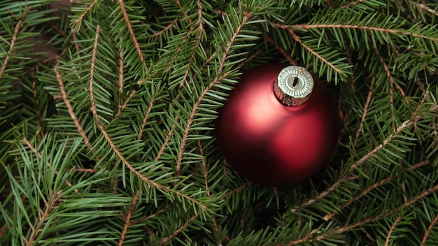 Bolas de vidrio rojo, ramas de abeto verde y espacio para copiar Navidad y año nuevo