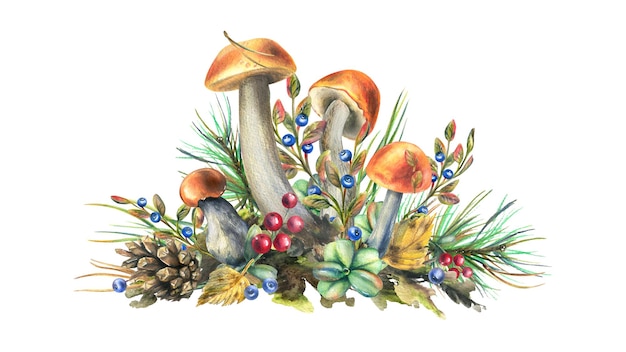 Boleto da floresta de cogumelos com grama, mirtilos, musgo e cone, ilustração em aquarela, mão desenhada composição isolada em um fundo branco