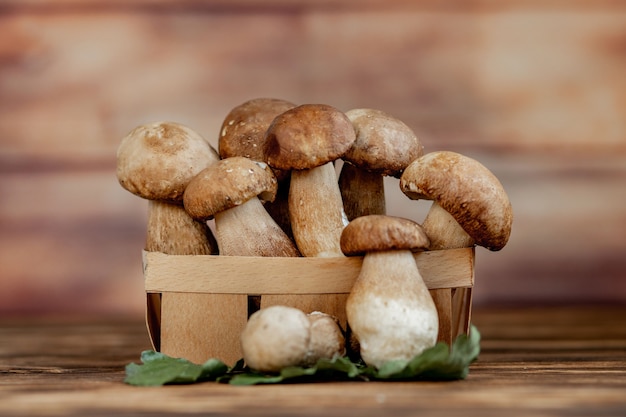 boleto de cogumelo sobre a parede de madeira. cogumelos cep. ceps boletus edulis sobre fundo de madeira