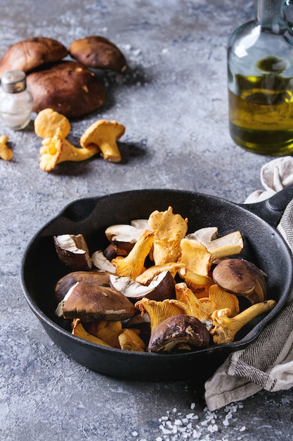 Boletus de boletus y rebozuelos