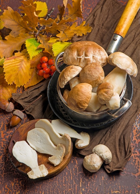 Boletus edulis de cogumelo sobre fundo de madeira