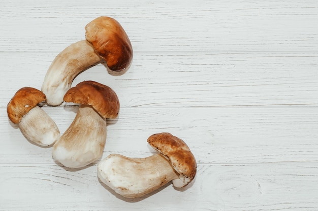 Boletus edulis em uma mesa feita de preparação de quadros brancos para comer