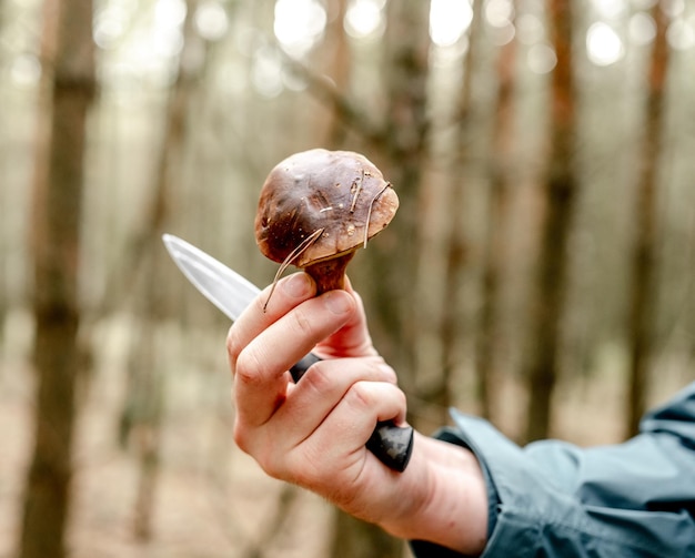 Boletus Edulis Pilz und ein Messer in der Hand vor dem Hintergrund eines Herbstwaldes