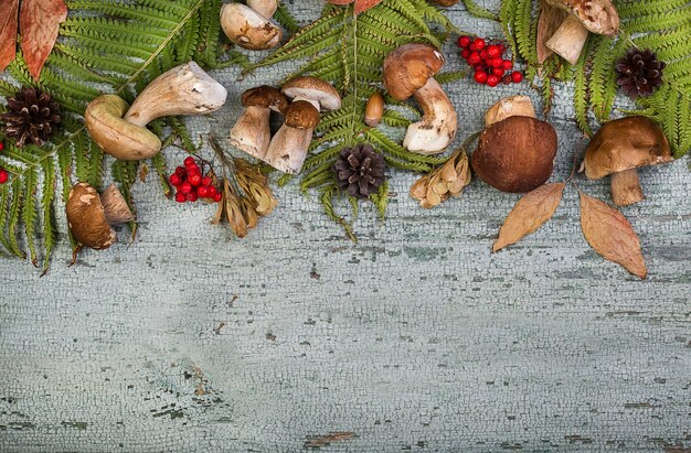 Boletus de setas del bosque fresco en la superficie de las hojas de otoño