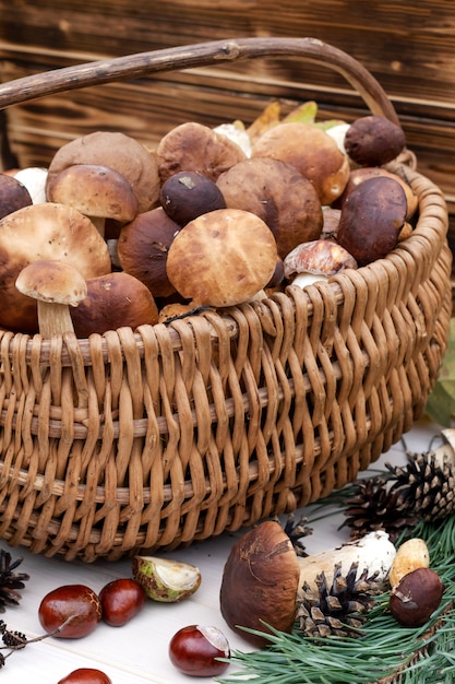 Boletus setas en la cesta. De cerca. Fondo de otoño