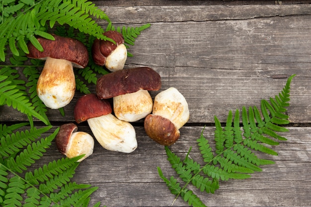 Foto boletus setas en una vieja mesa de madera