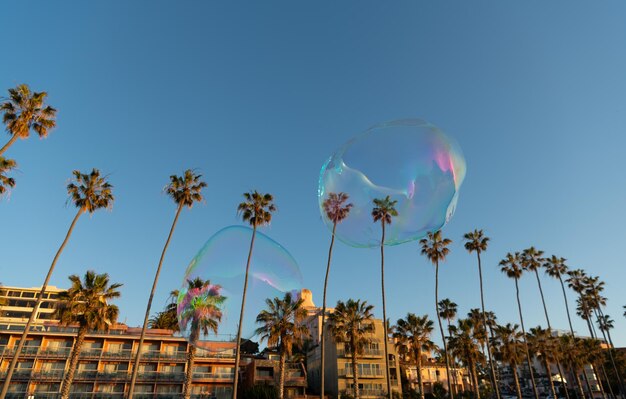 Bolhas de sabão voam acima da cidade tropical. Bolhas gigantes no céu azul. Bolhas de sabão iridescentes.