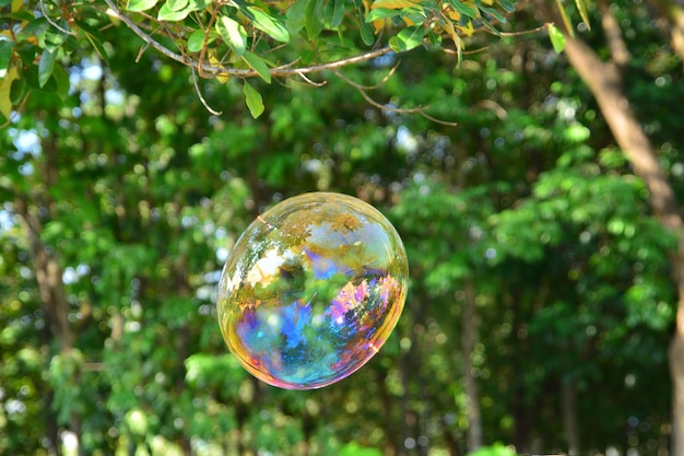 Foto bolhas de sabão