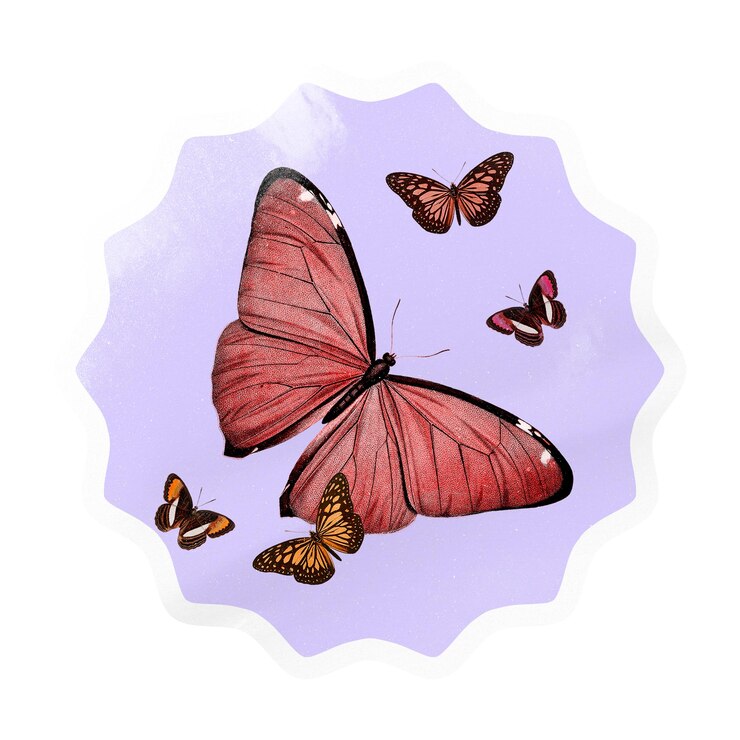 Foto bolinha rosa de borboleta png starburst em fundo transparente