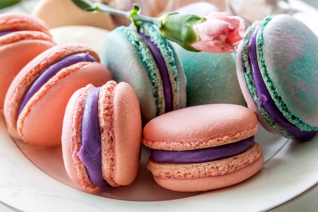 Bolinhos de amêndoa franceses doces e coloridos ou macaron na placa branca cerâmica. Cores pastel