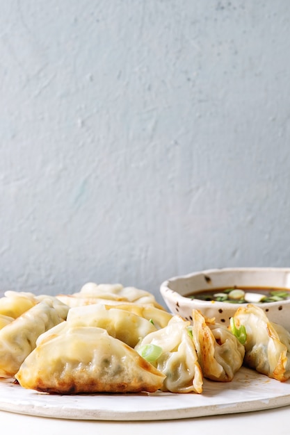 Bolinhos de massa gyozas