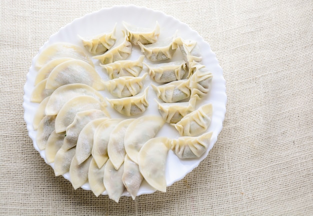 Bolinhos fritos japoneses, os bolinhos em forma de meia lua servidos em restaurantes asiáticos como aperitivo ou prato lateral, carne de porco e recheio de legumes.