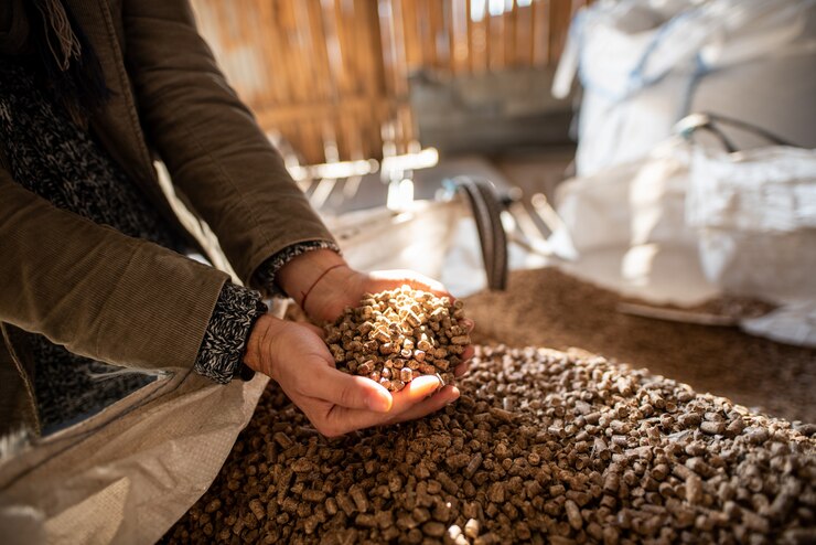 Bolitas de madera. Biocombustibles. Arena para gatos. Las manos del hombre