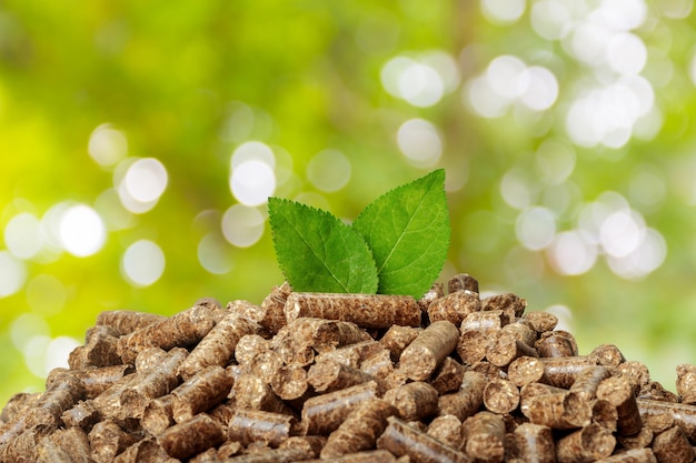 Foto bolitas de madera sobre una naturaleza verde. biocombustibles