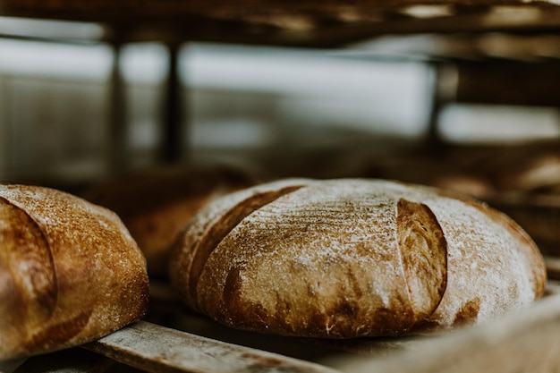 Bollos frescos del horno Cinta transportadora con pan Hornear pan Taller de producción de pan Pan blanco en el horno Bollos calientes Confitería