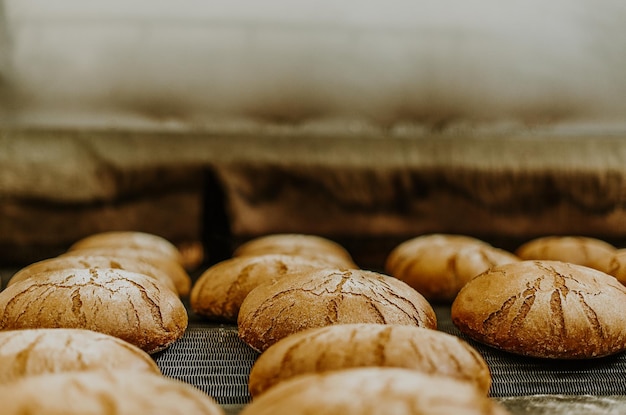 Bollos frescos del horno Cinta transportadora con pan Hornear pan Taller de producción de pan Pan blanco en el horno Bollos calientes Confitería