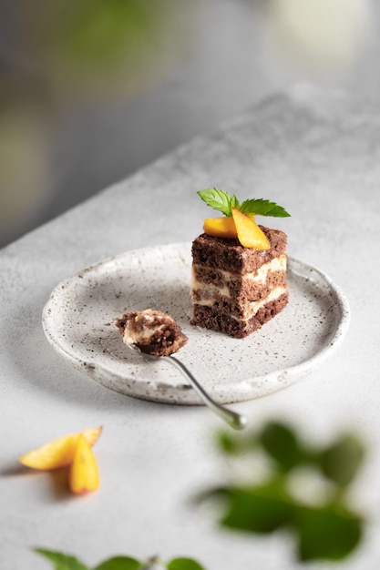 Foto bolo de chocolate em um prato sobre um fundo claro através da folhagem