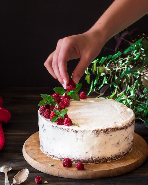 Bolo de frutas cremoso. Bolo de framboesa com chocolate. Bolo de chocolate. Decoração de menta. Bolo de queijo.