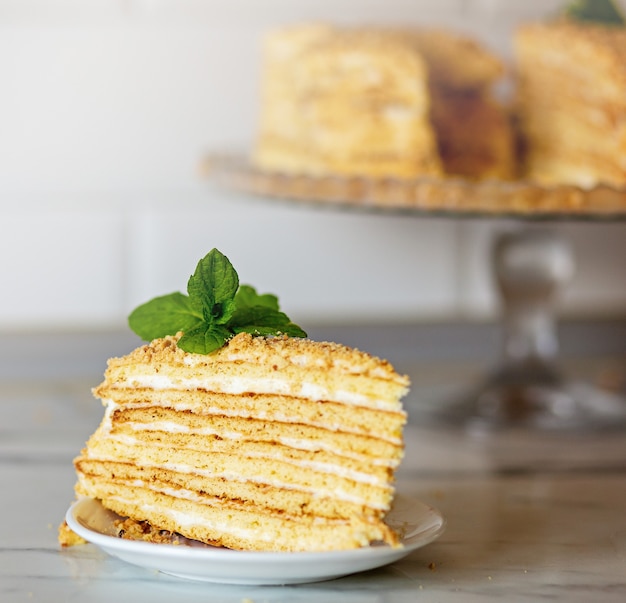 Bolo de mel. bolo russo tradicional em camadas medovik com creme de leite em um prato branco sobre um fundo branco. orientação horizontal. fechar-se