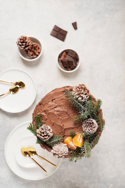 Bolo de natal com chocolate decorado com pinhas e pinheiro em fundo claro, vista de cima para baixo com imagem de foco seletivo