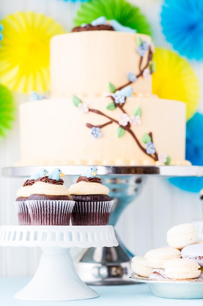 Bolo Gourmet Spring de duas camadas com pássaros azuis e flores primaveris.