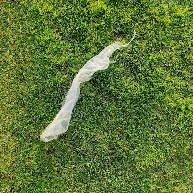 bolsa aplastica en la naturaleza