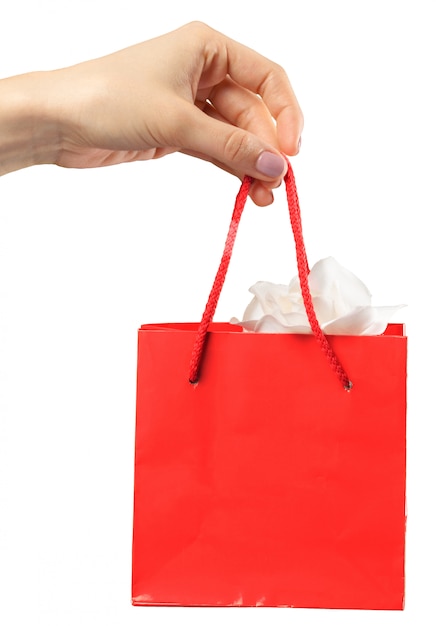 Foto bolsa de compras. feminino mão segurando sacola de compras em branco