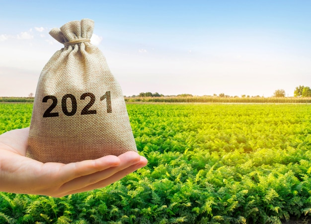 Bolsa de dinero 2021 en manos de un agricultor y plantaciones agrícolas