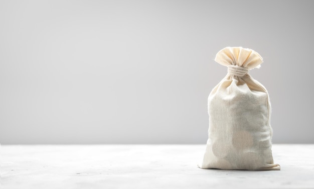 Bolsa de dinero en un espacio de copia de plantilla de fondo gris para maqueta de texto