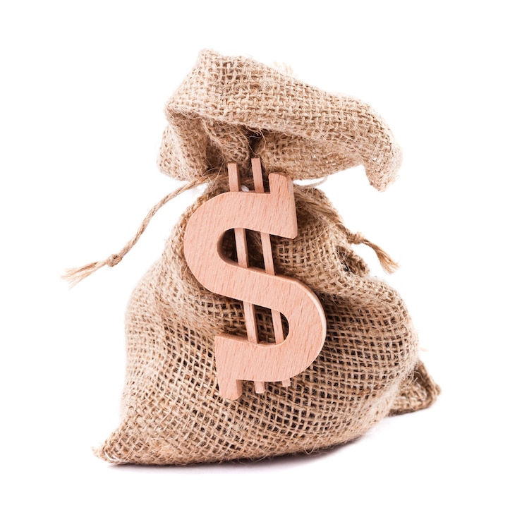 Foto bolsa de dinero con símbolo de dólar