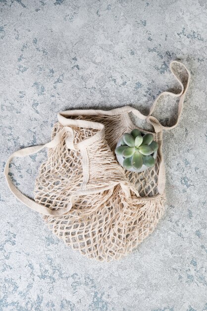 Bolsa ecológica con suculenta casera en una maceta de cerámica sobre un fondo de hormigón gris.