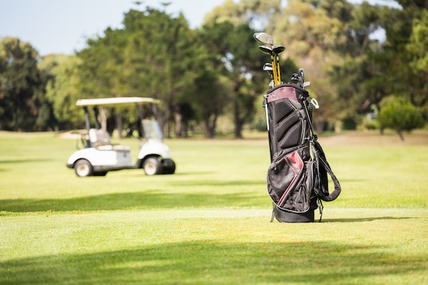 Bolsa de golf llena y carrito de golf