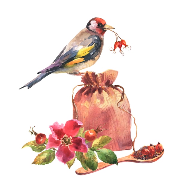 Bolsa de lino de ilustración acuarela y cuchara de madera con flores y bayas de té de rosa mosqueta