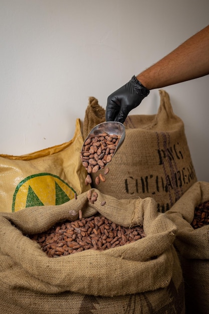 Bolsa de lona con granos de cacao tostados importados