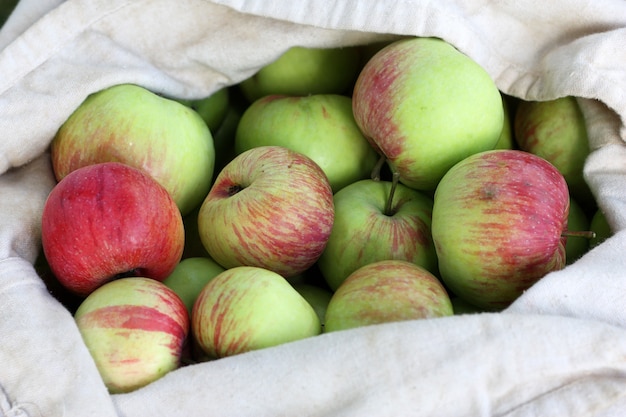 Bolsa de manzanas rojo-verdes en verano.