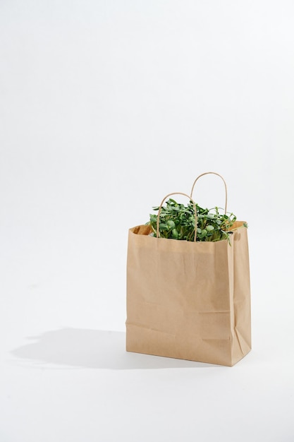 Bolsa de papel marrón arrugada con una cama de plantas que sobresale. sobre fondo blanco. Producto compostable ecológico.