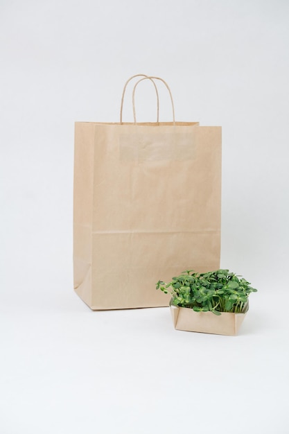 Bolsa de papel marrón vacía y lecho de plantas de papel sobre fondo blanco.