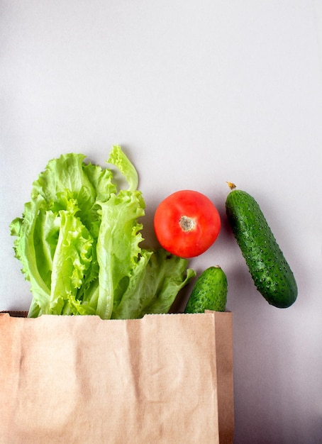 Bolsa de papel con verduras lechuga tomate pepinos copia espacio