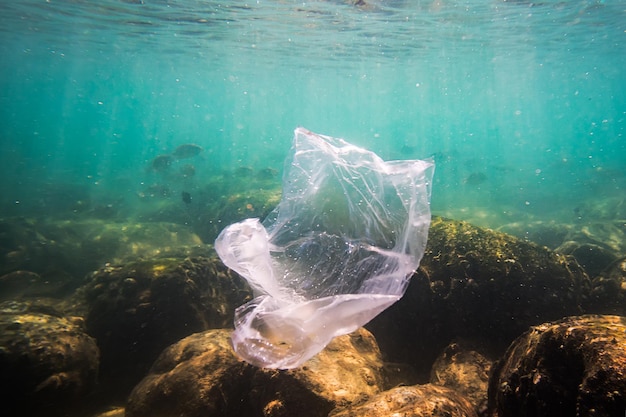 Foto bolsa de plástico triturada a la deriva bajo la superficie de un océano tropical azul mala ecología del agua de mar contaminación ambiental basura bajo el agua