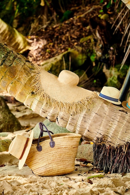 Bolsa de playa y sombreros de palmera.