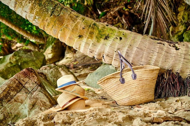 Bolsa de playa y sombreros de palmera.