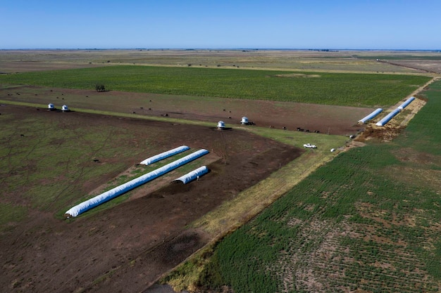 Bolsa de silo de almacenamiento de granos en la campiña pampeana Argentina